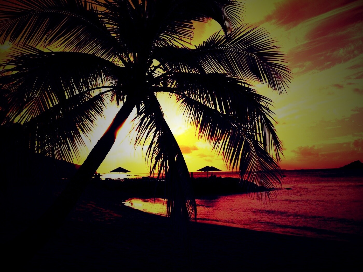 Пляж на закате обои