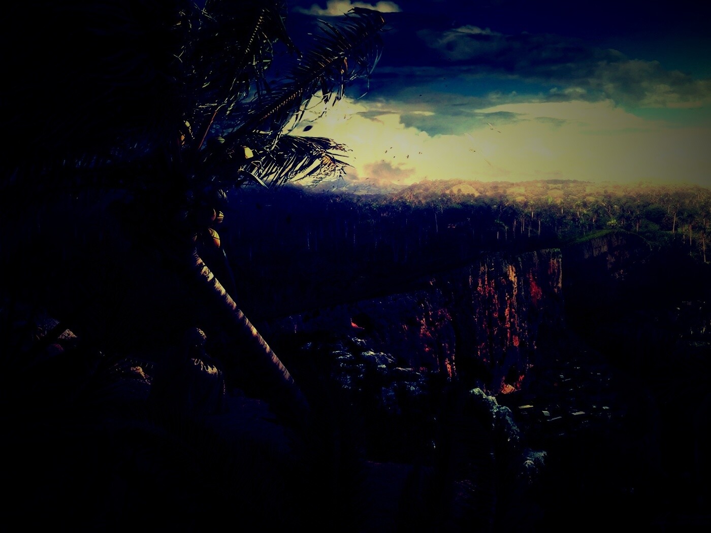 Вид на джунгли обои