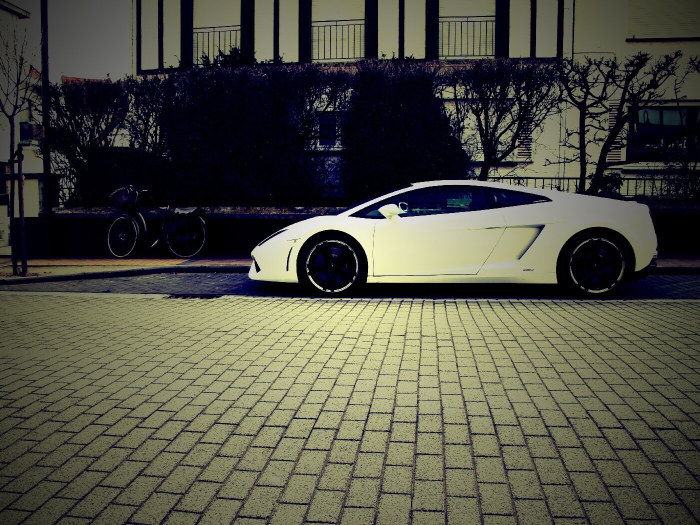 Белый Lamborghini обои