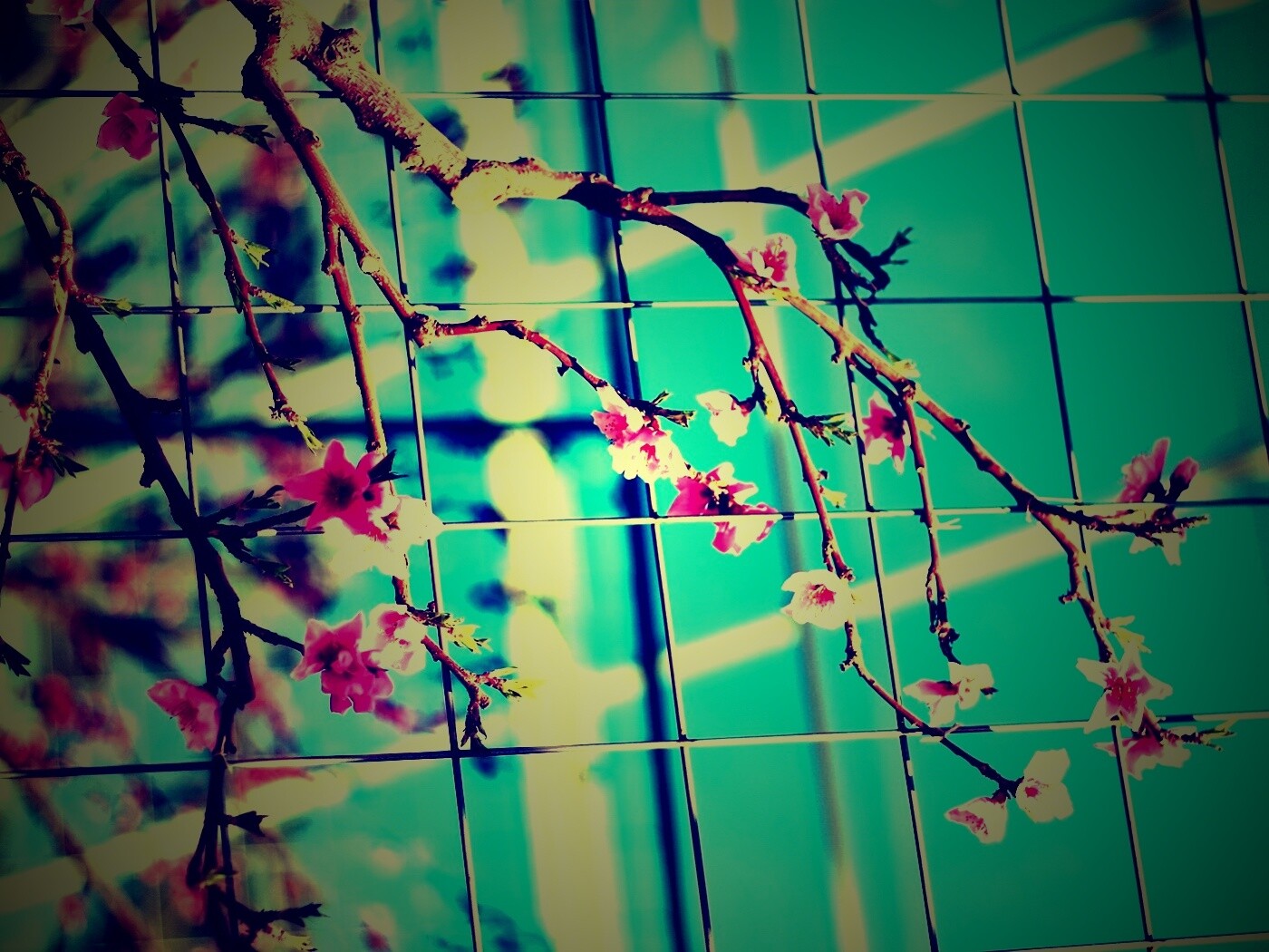 Ветка за сеткой обои