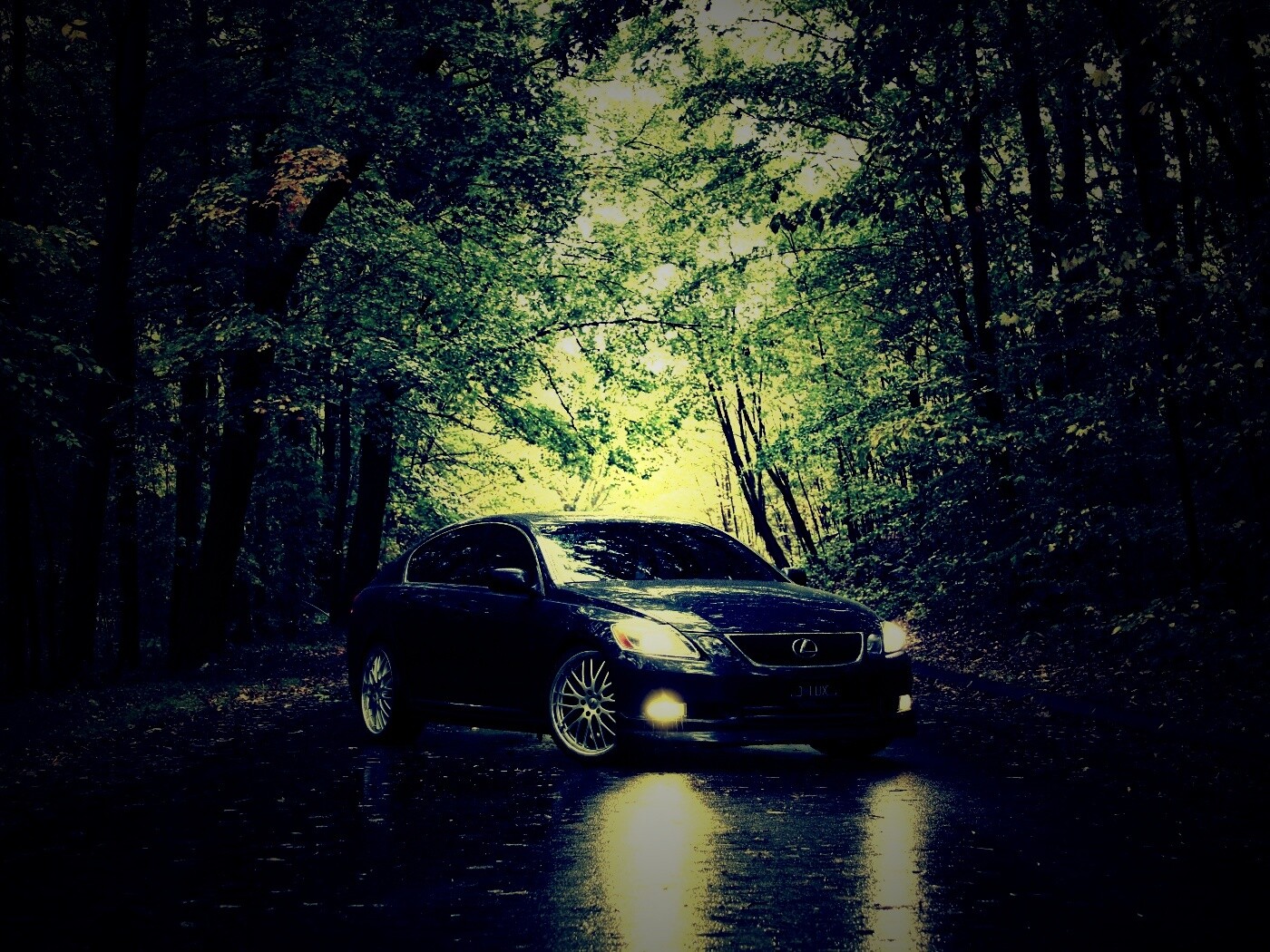 Лексус на лесной дороге обои