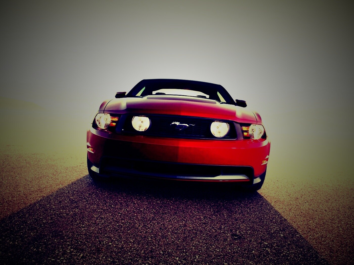 Форд Мустанг обои