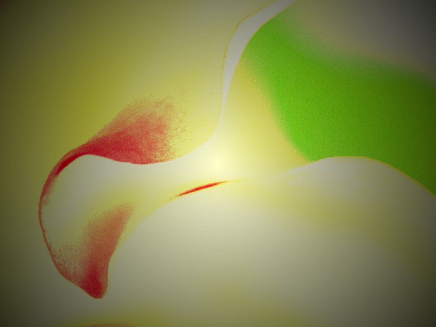 Оттенки природы обои