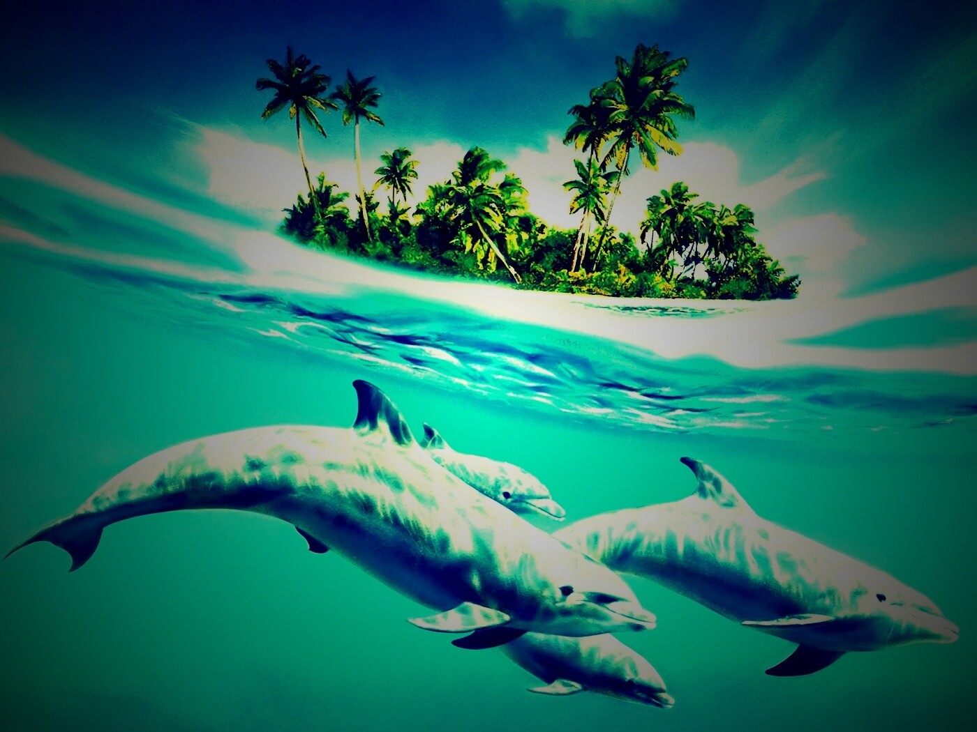 Остров дельфинов обои