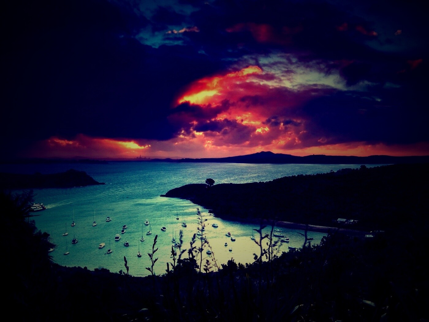 Waiheke Island, New Zealand обои