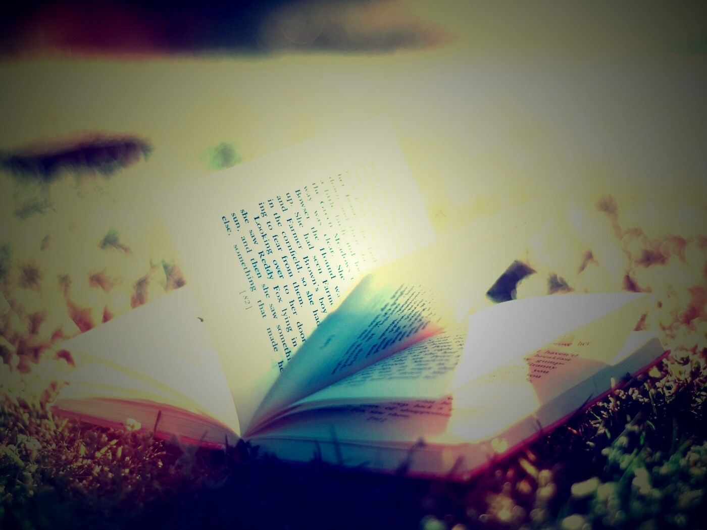 Книга в нежном свете обои