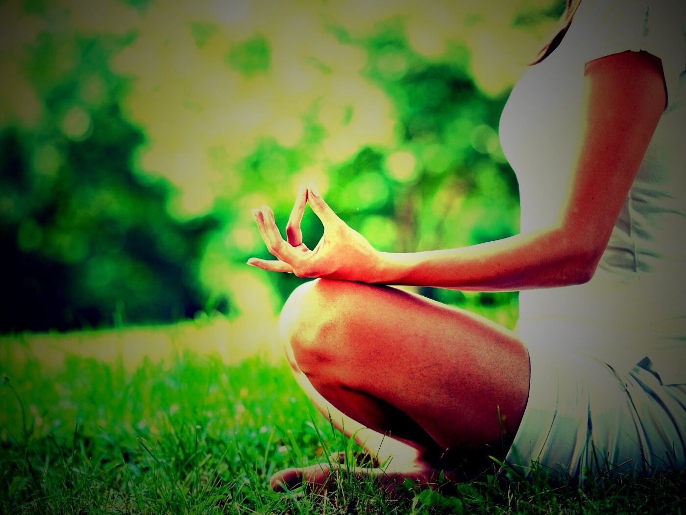 Девушка медитирует в позе лотоса на траве обои