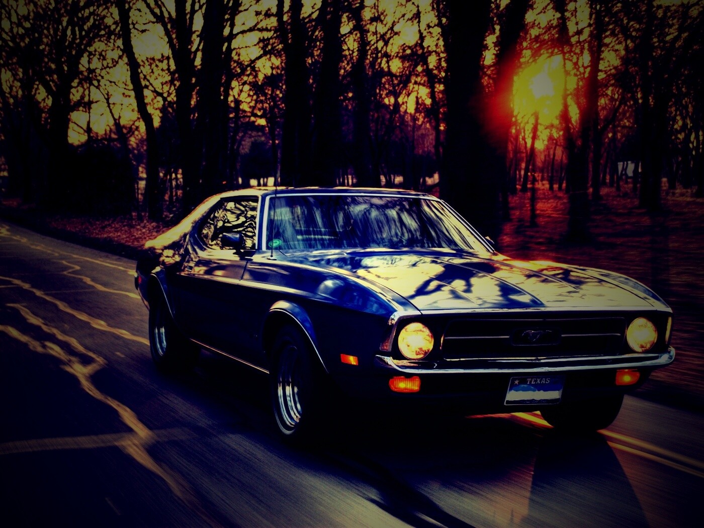 Мустанг обои