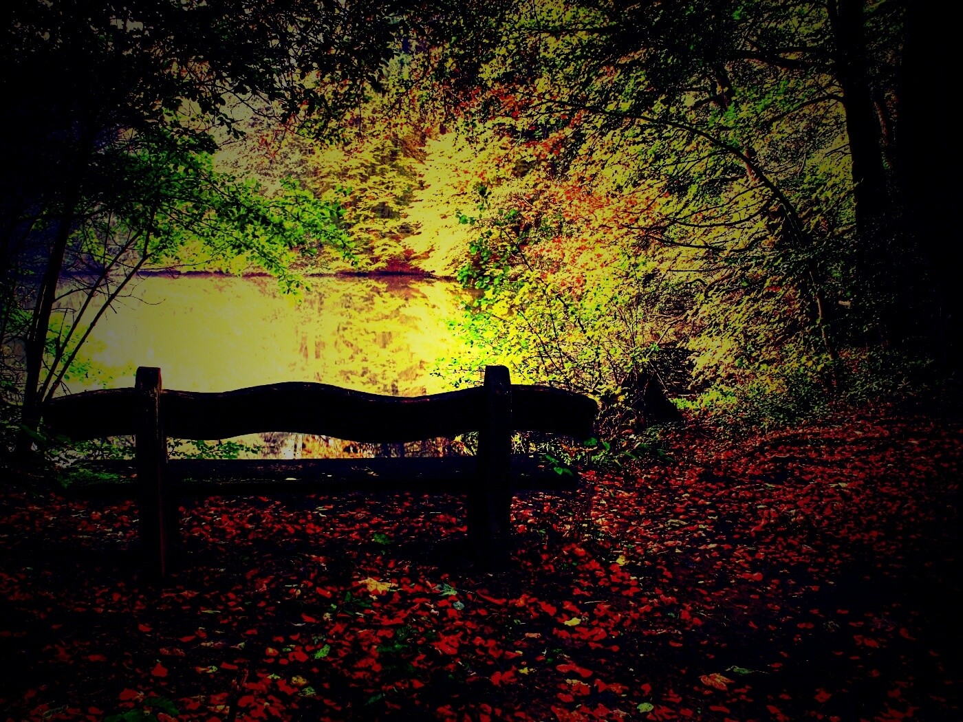 Скамейка в лесу обои