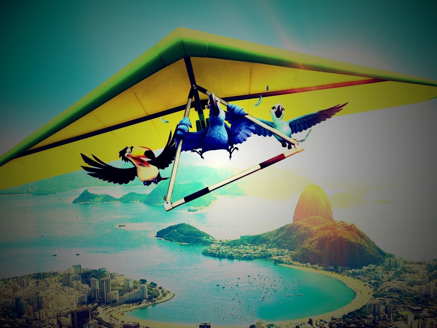 Герои мультфильма Рио обои