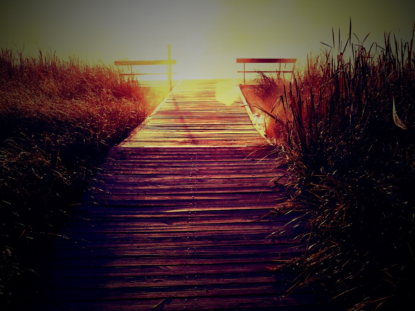 Выход к реке обои