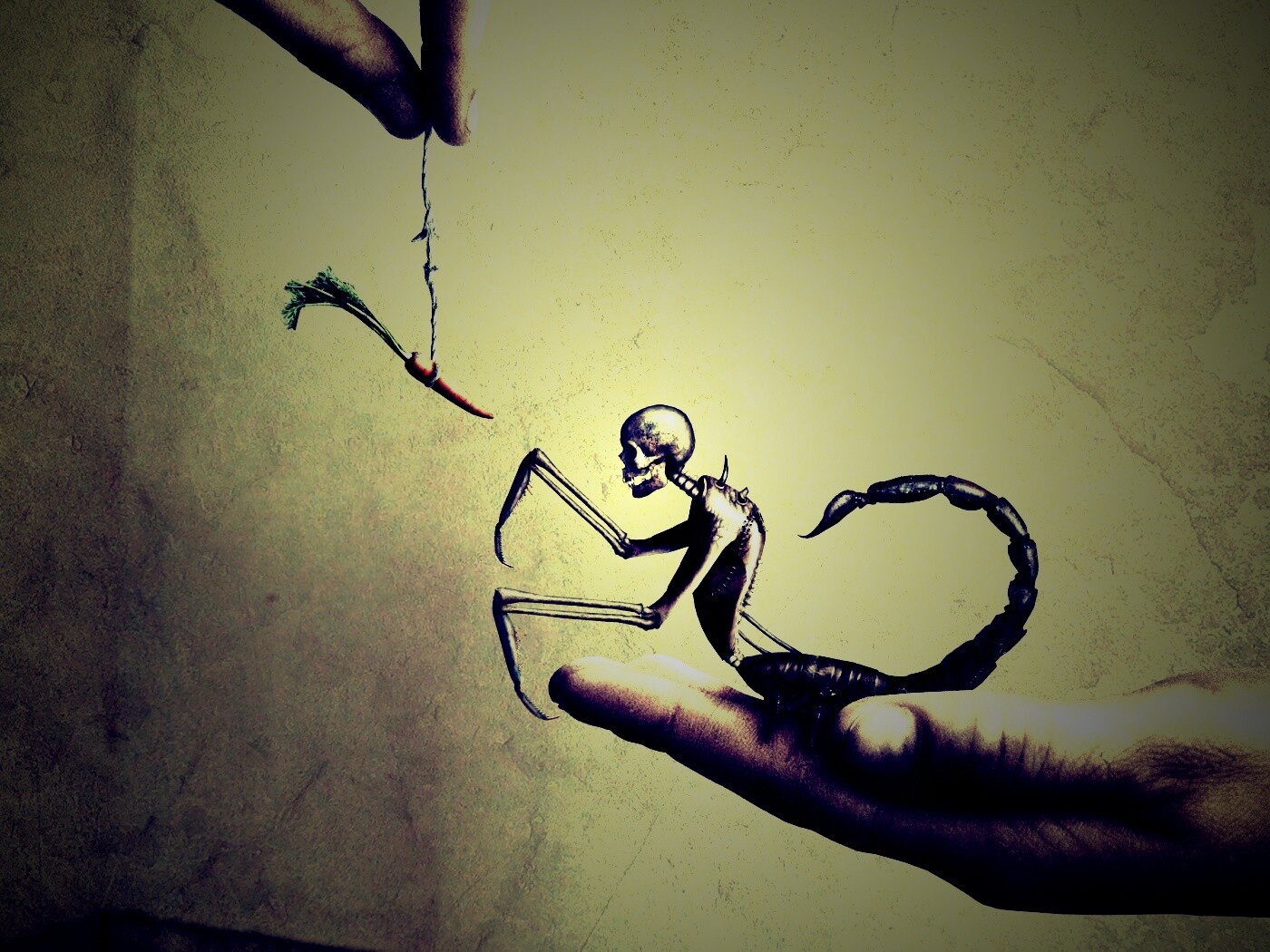 Кормёжка смерти обои