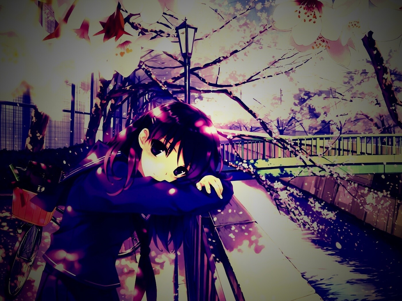 Девушка среди лепестков сакуры обои