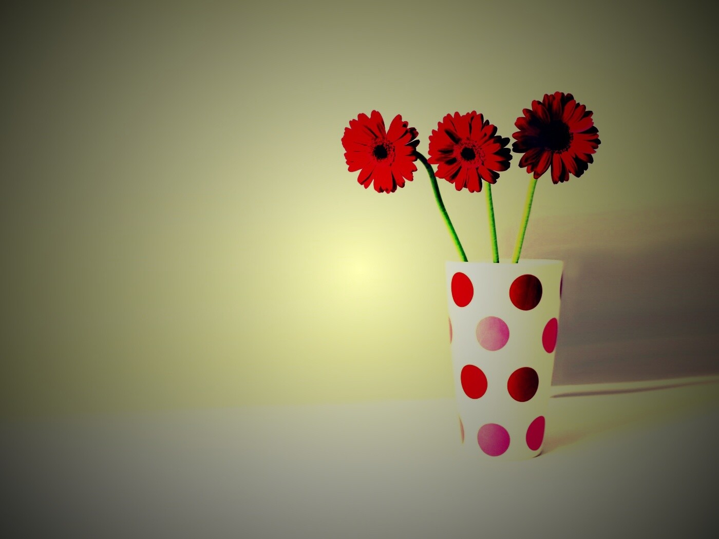 Вазочка с тремя красными герберами обои