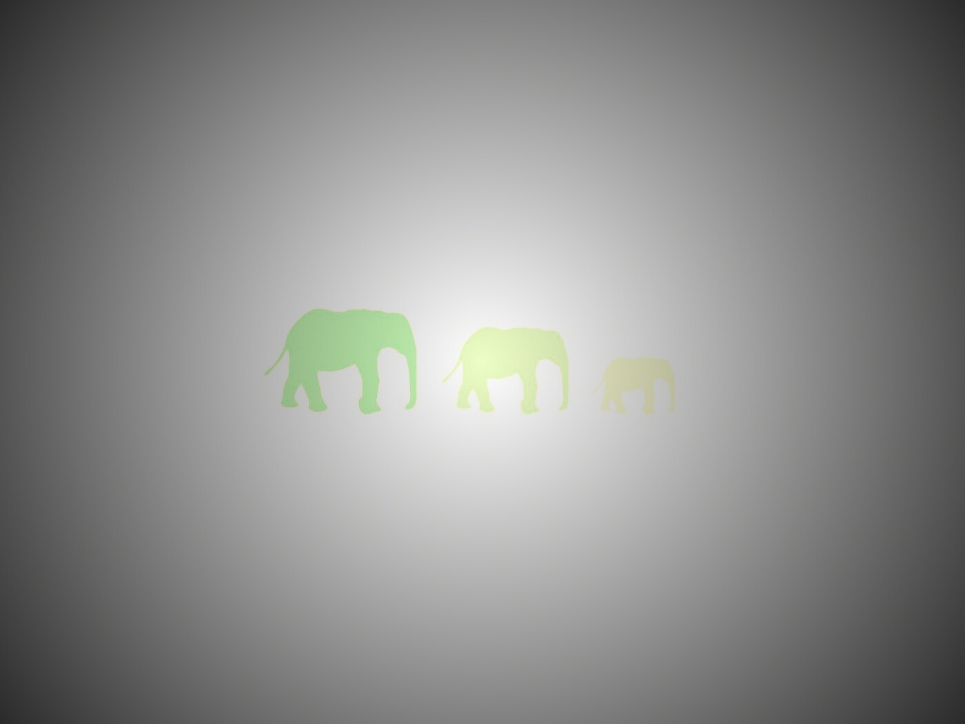 Вереница слонов обои