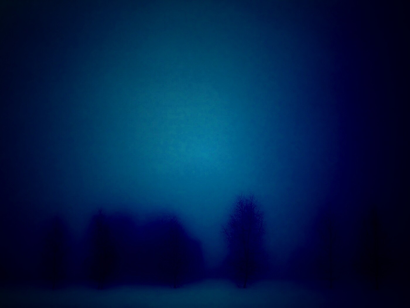 Деревья в тумане обои