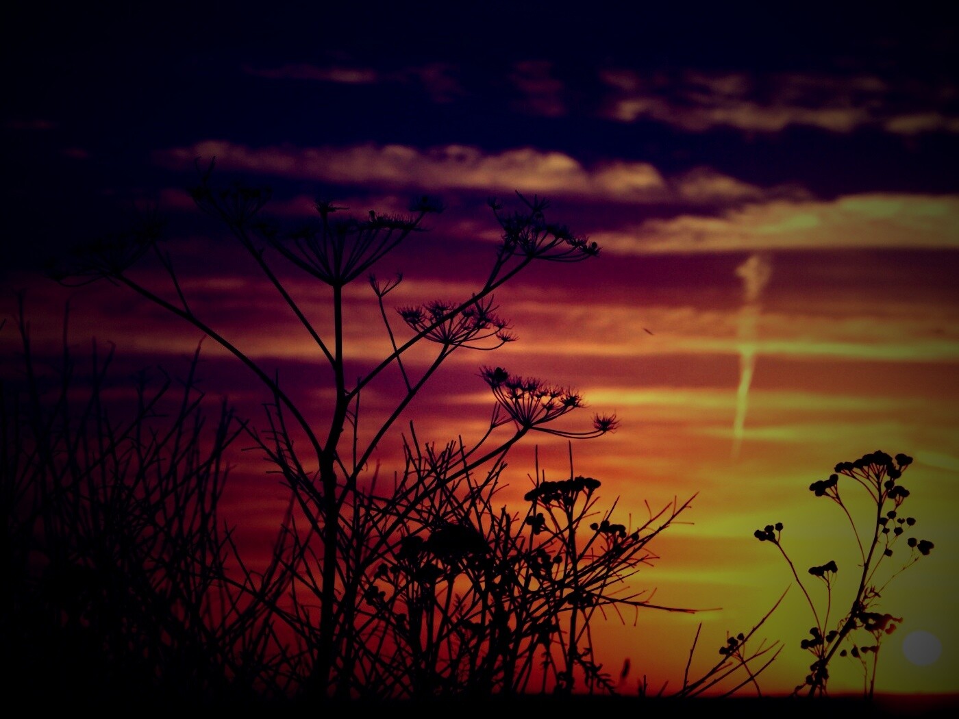 Степной закат обои