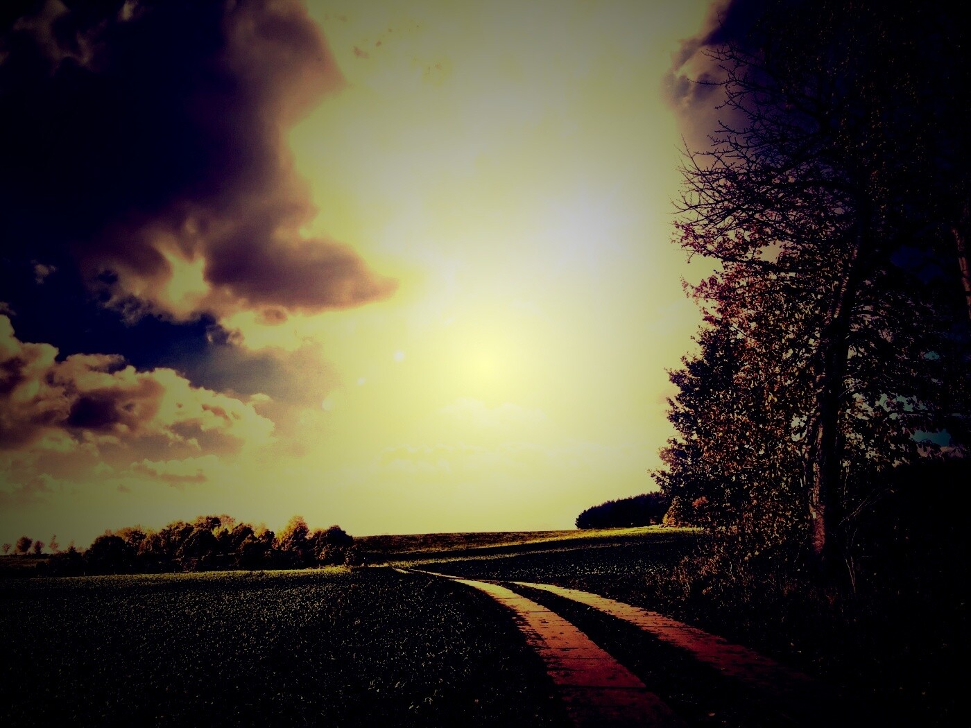 Солнечные холмы обои