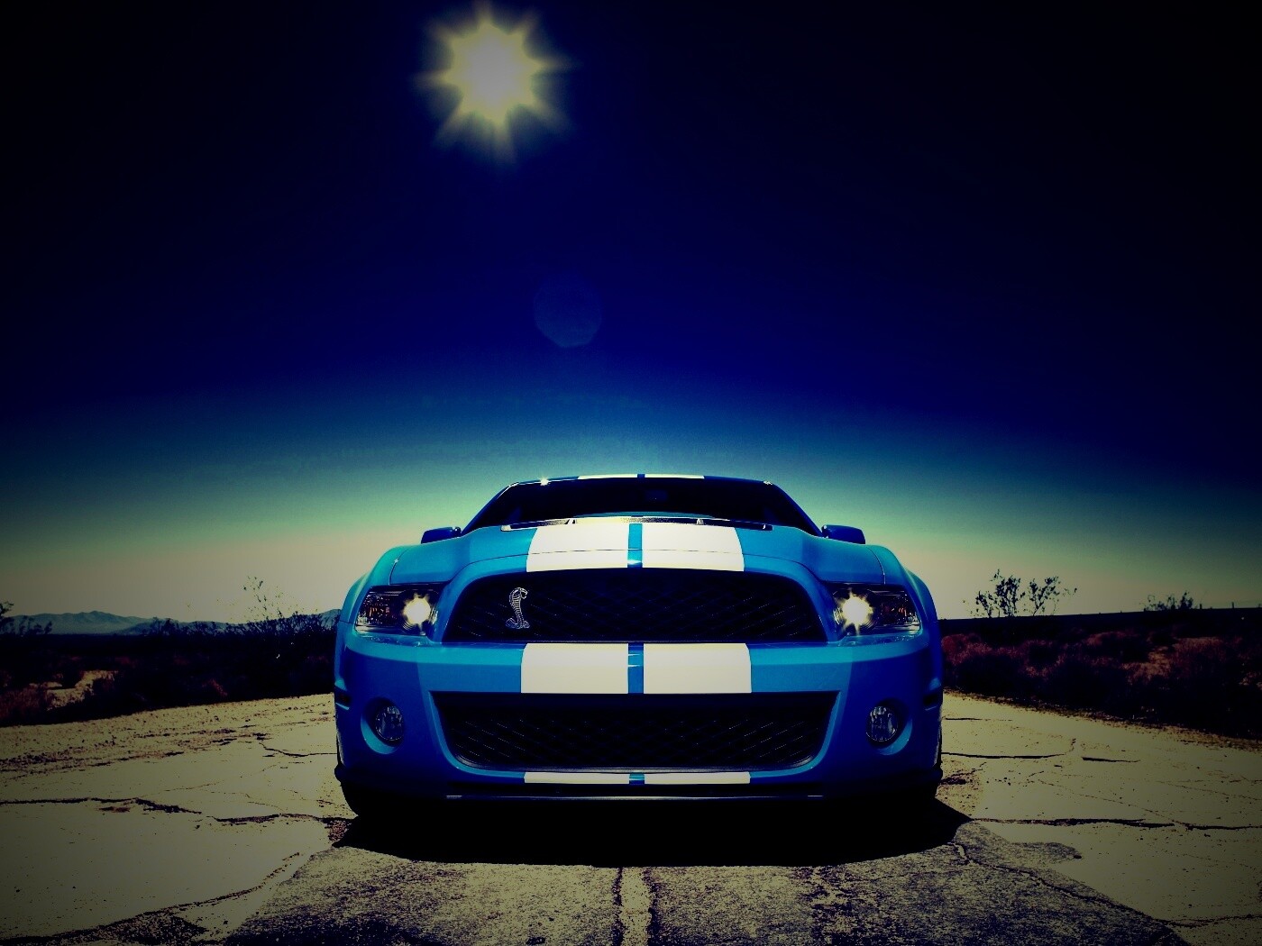 Форд Шелби обои