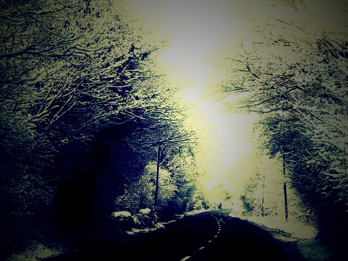 Дорога через зимний лес обои