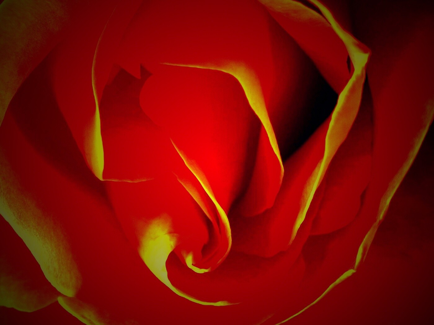 Макро фотка бутона обои