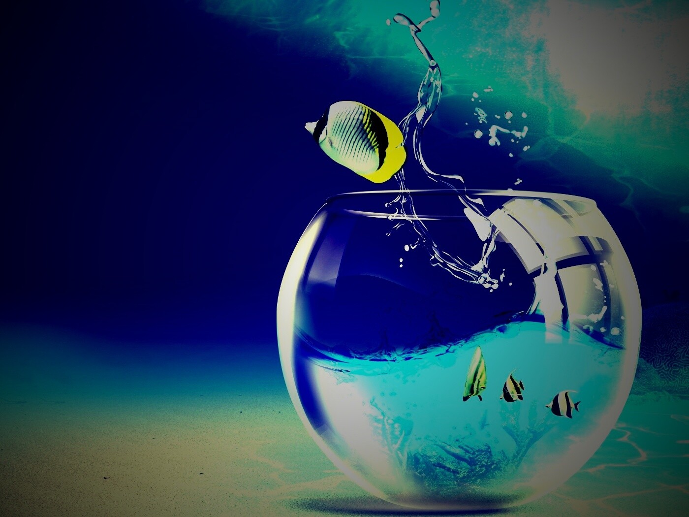 Аквариум с рыбками обои