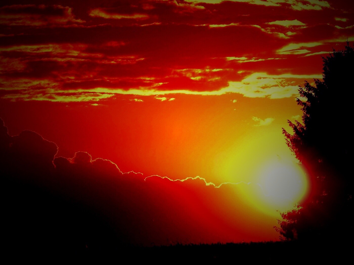 Теплый закат над полем обои