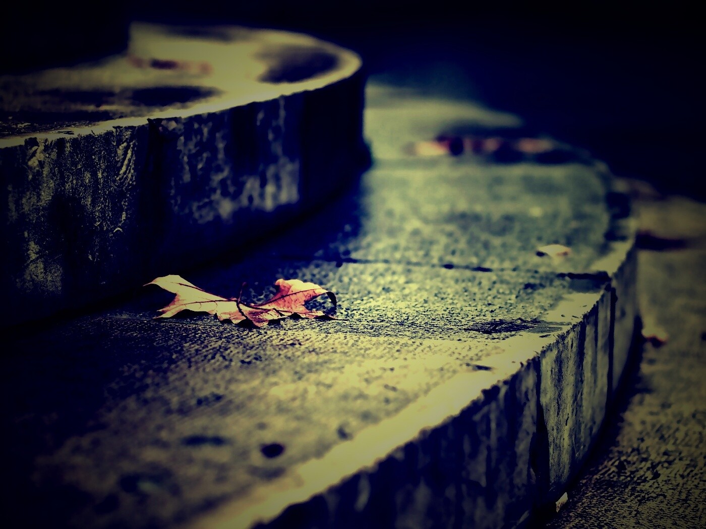 Лист на ступеньках обои