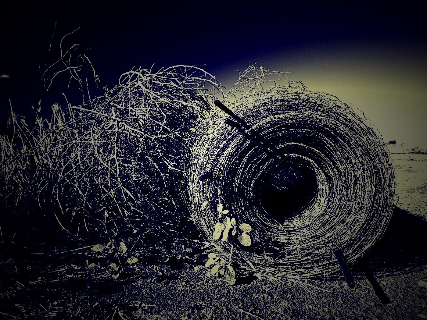 Клубок сена обои