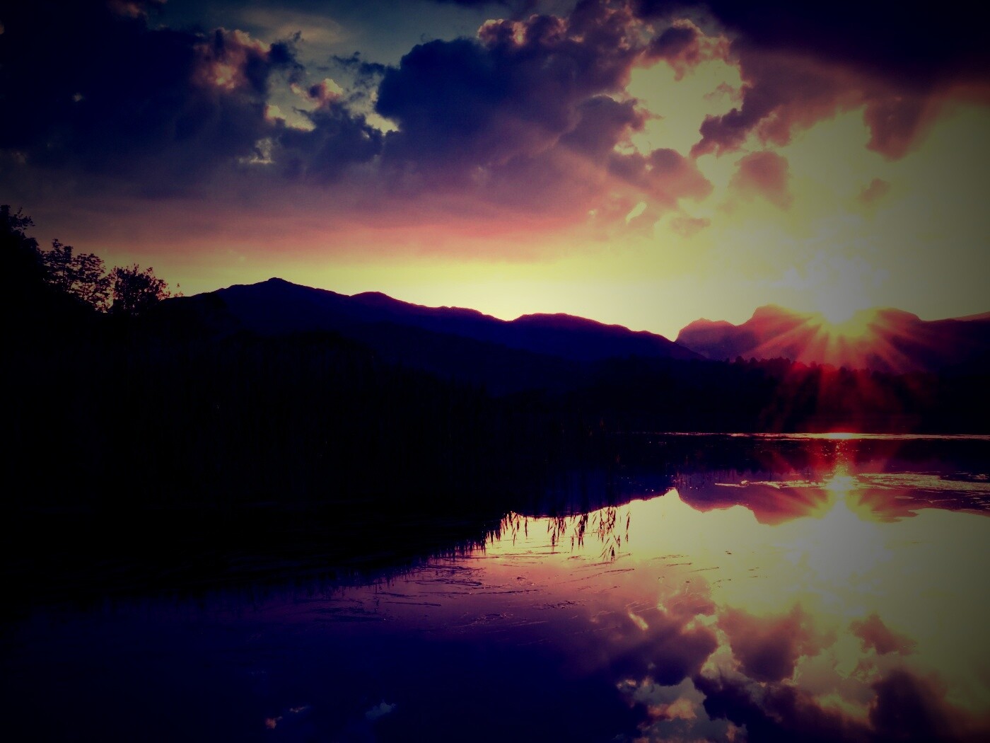 Закат за лесом обои