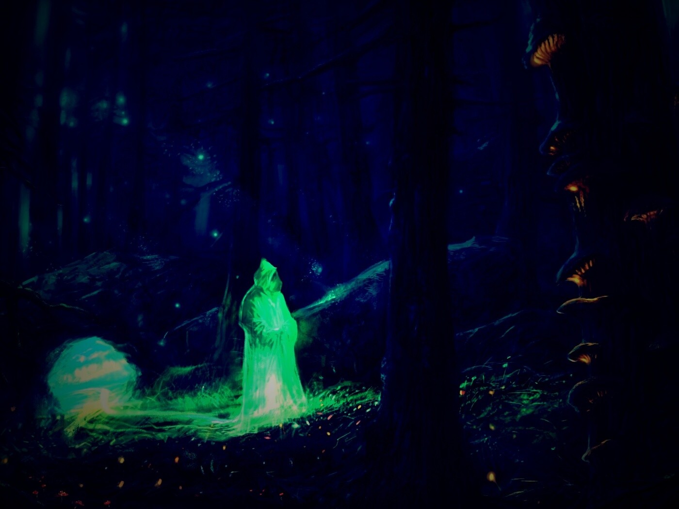 Маг света в лесу обои