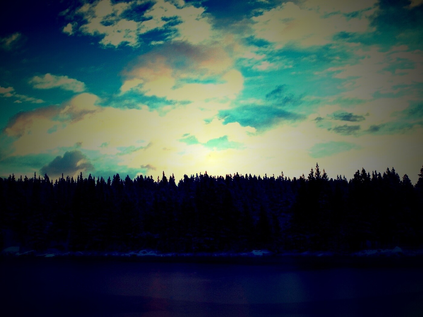 Лес на озере обои