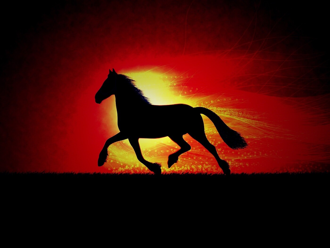 Силует коня на закате обои