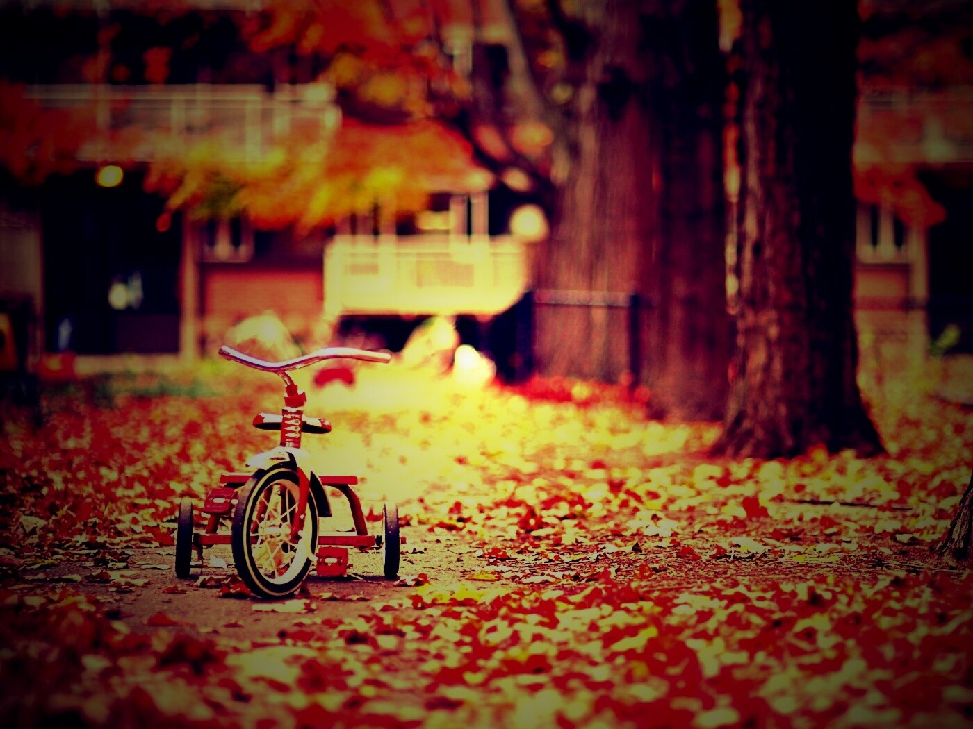 Трёхколёсный друг на осенней дорожке обои
