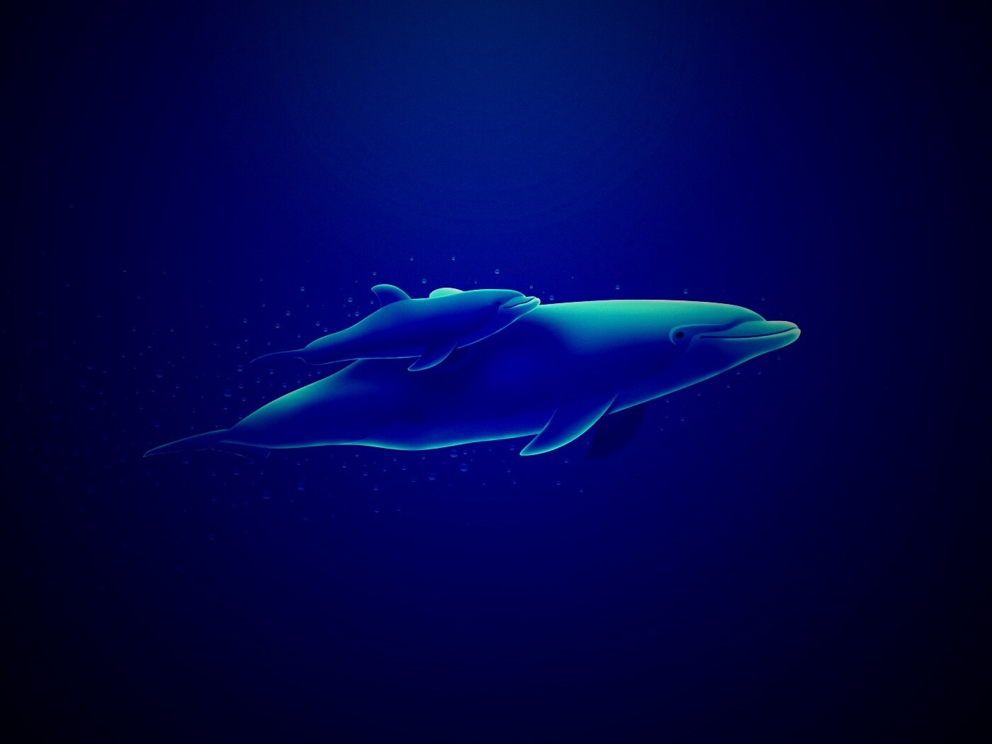 Дельфин и дельфиненок обои