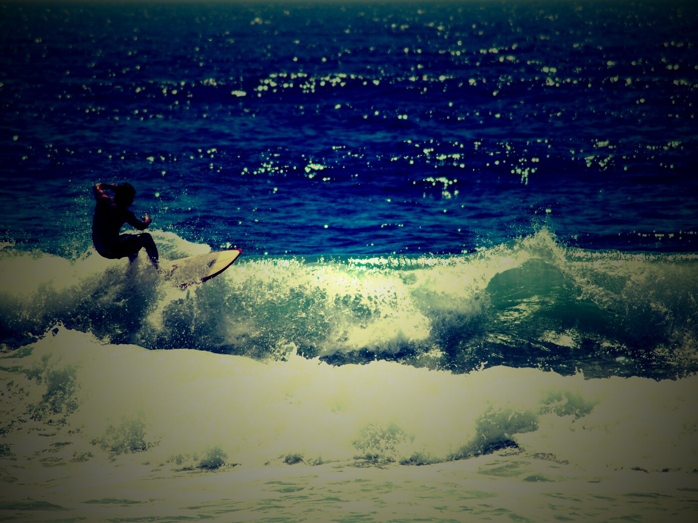 Сёрфенгист поймал волну обои