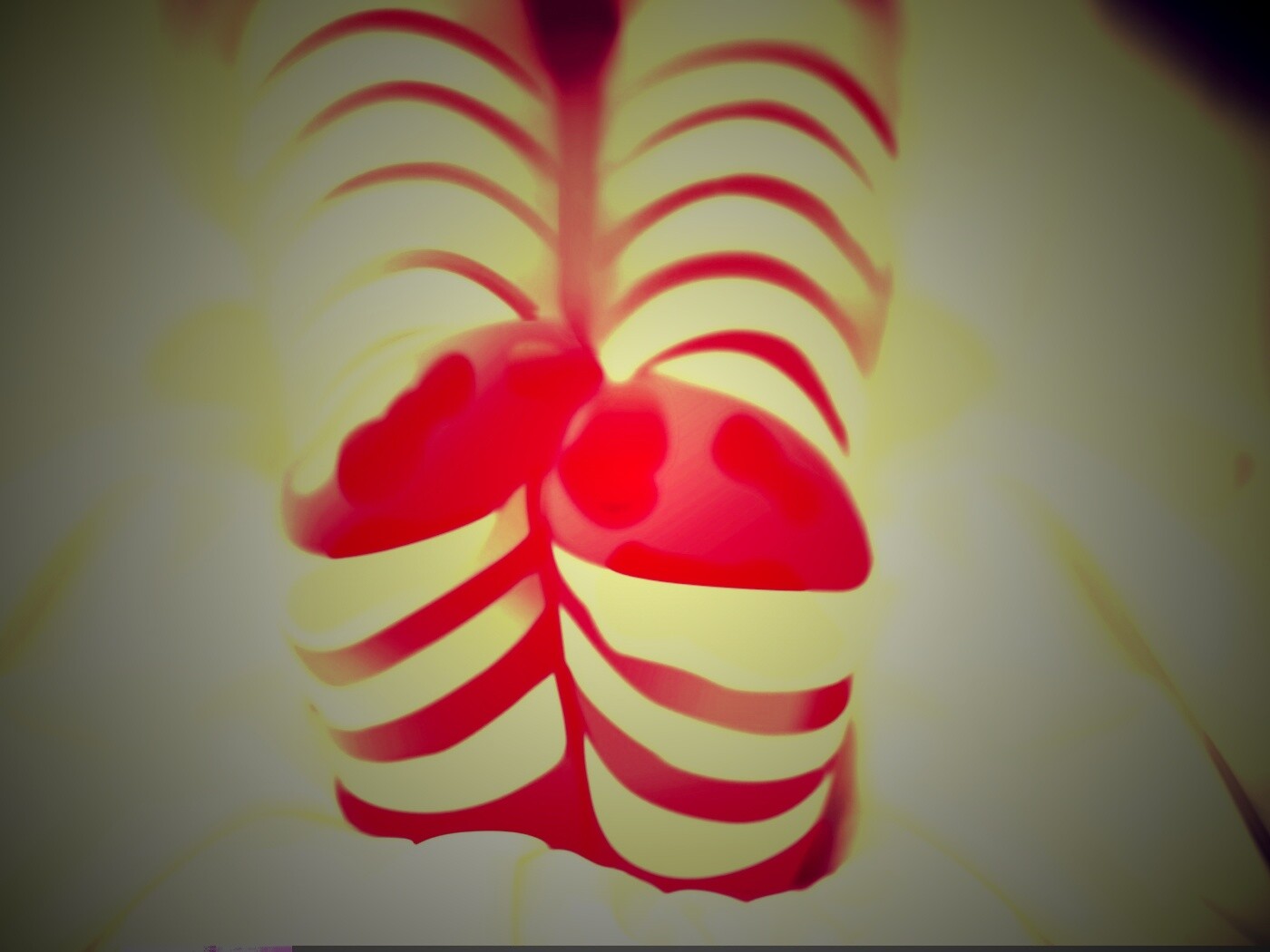 Ножки в полосатых чулках обои