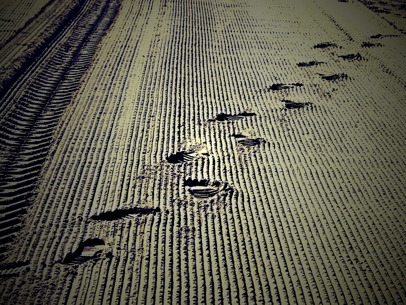 Следы на песке обои