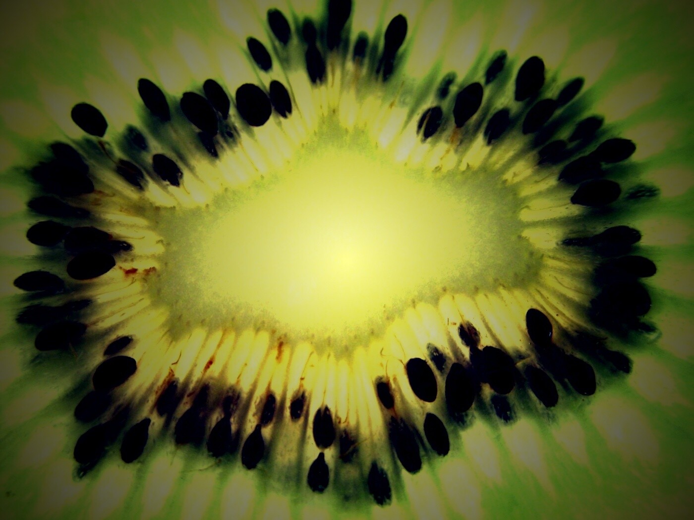 Макро фото киви в разрезе обои