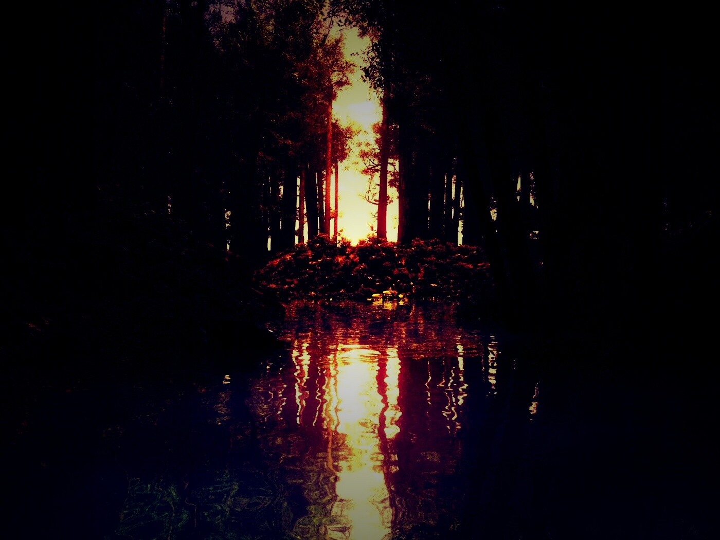 Болото в лесу обои