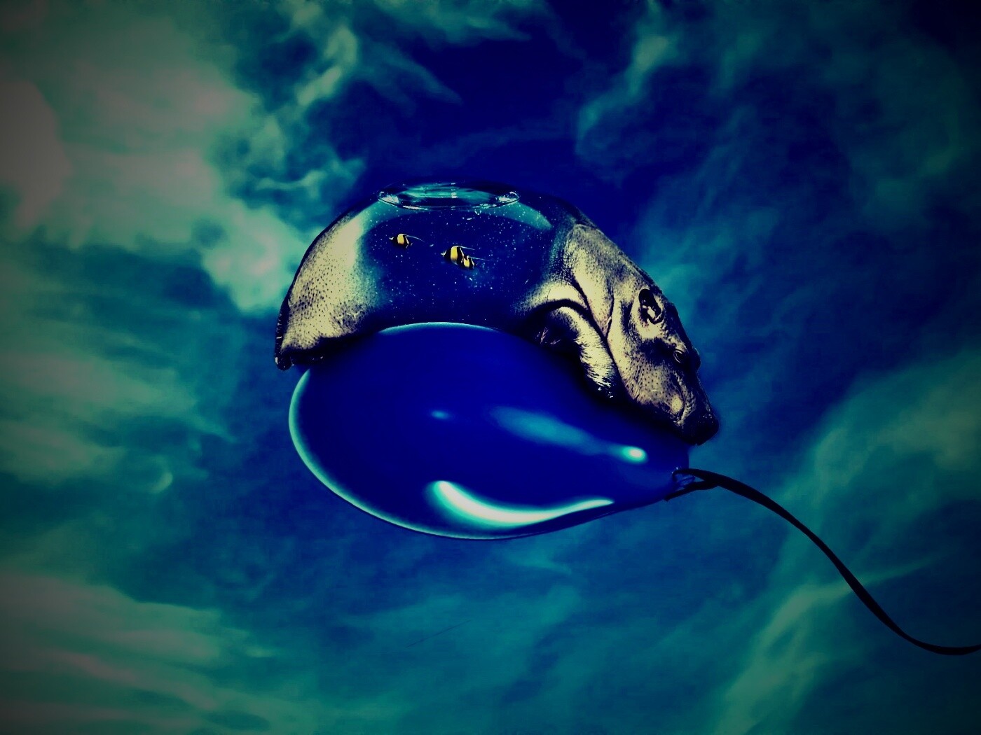 Водяной гиппопотам на шарике обои