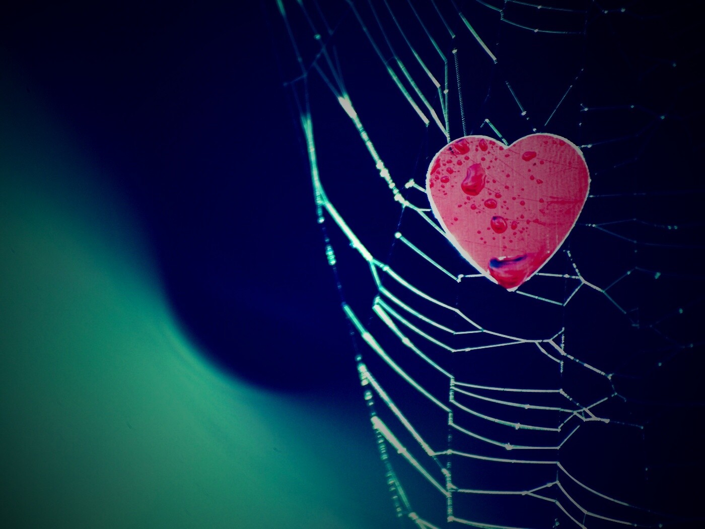 Сердце в паутине обои