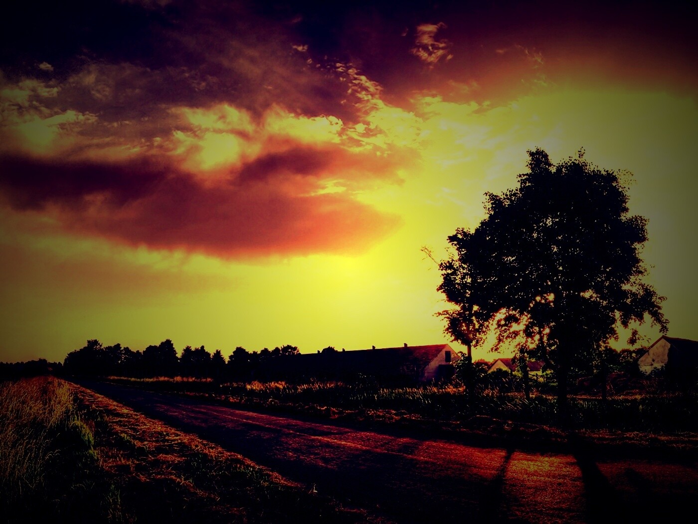 Закат на фоне дерева в HDR обои