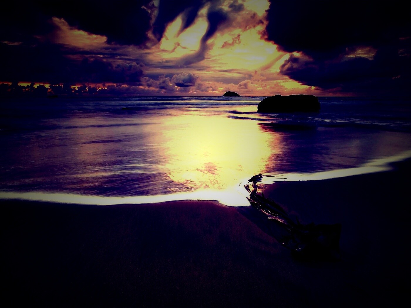 Коряга на пляже обои