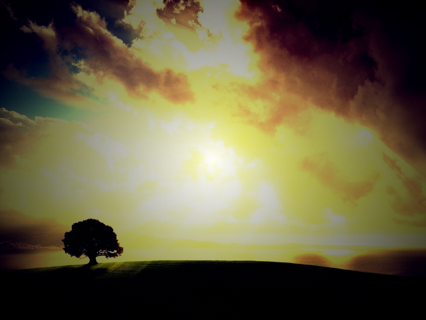 Холм и дерево обои