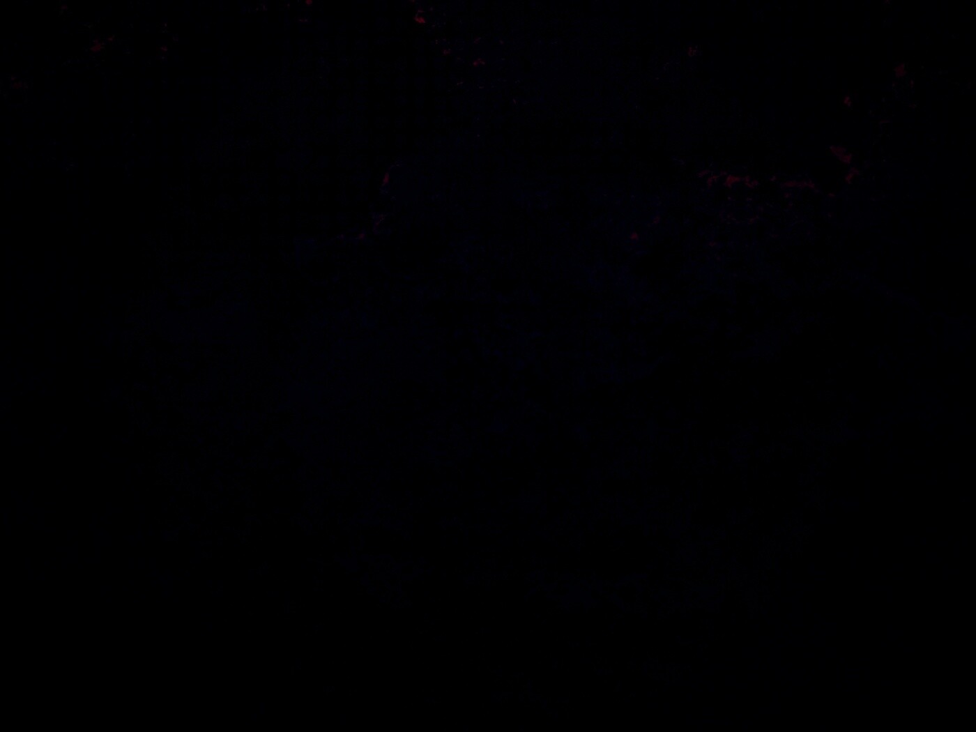 Кровяной фон обои