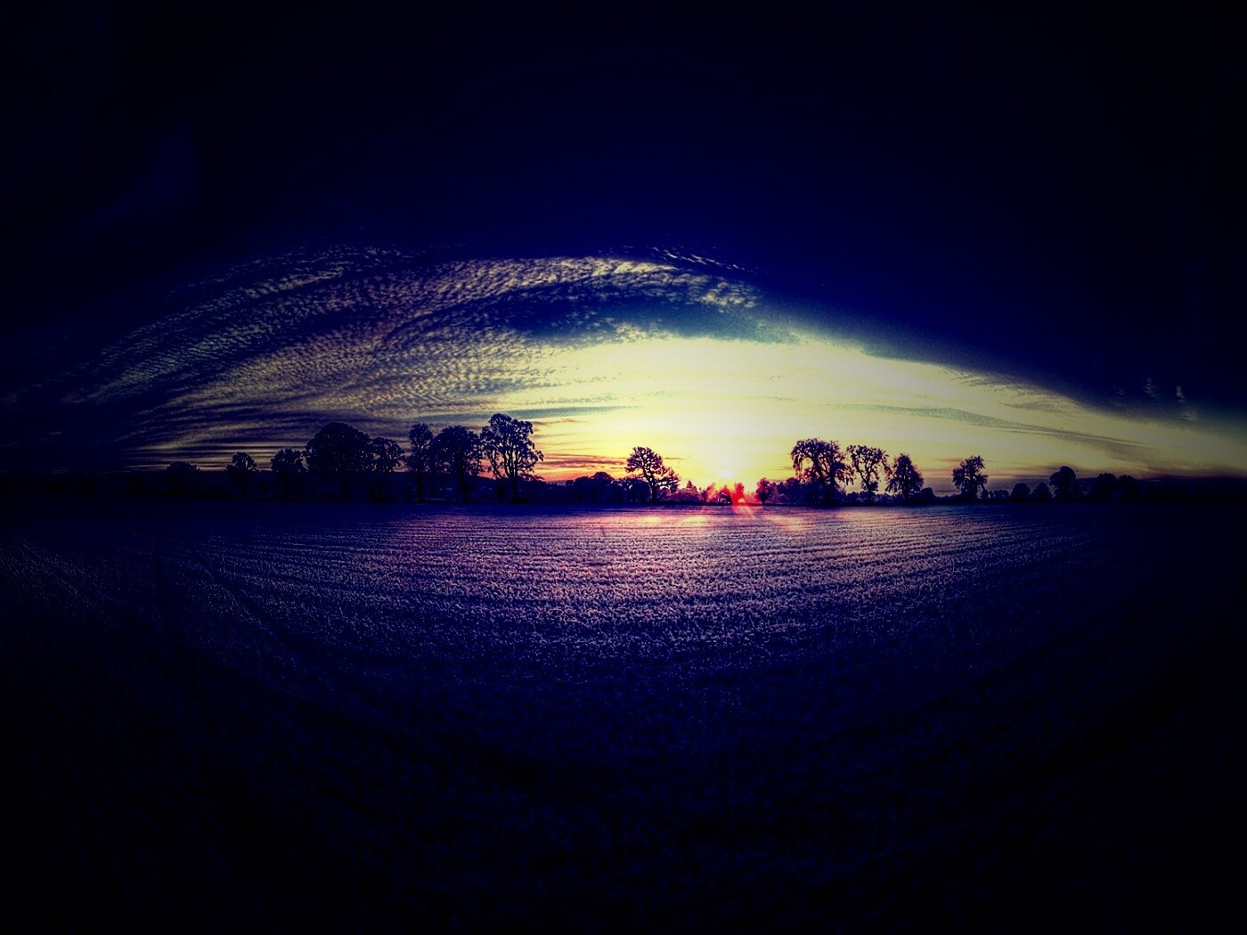 Поле широкоугольным объективом обои