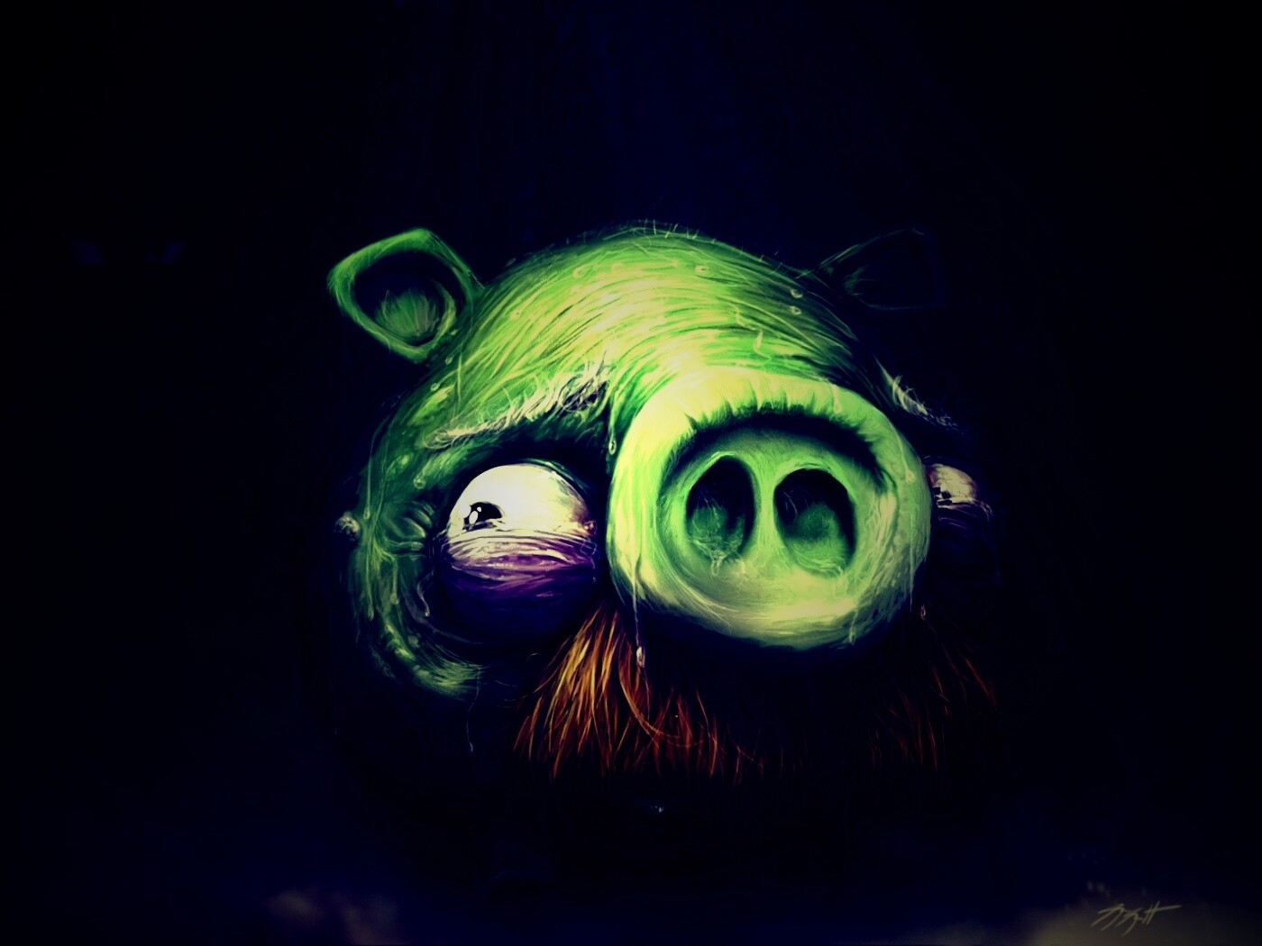 Свинья из Angry Birds обои