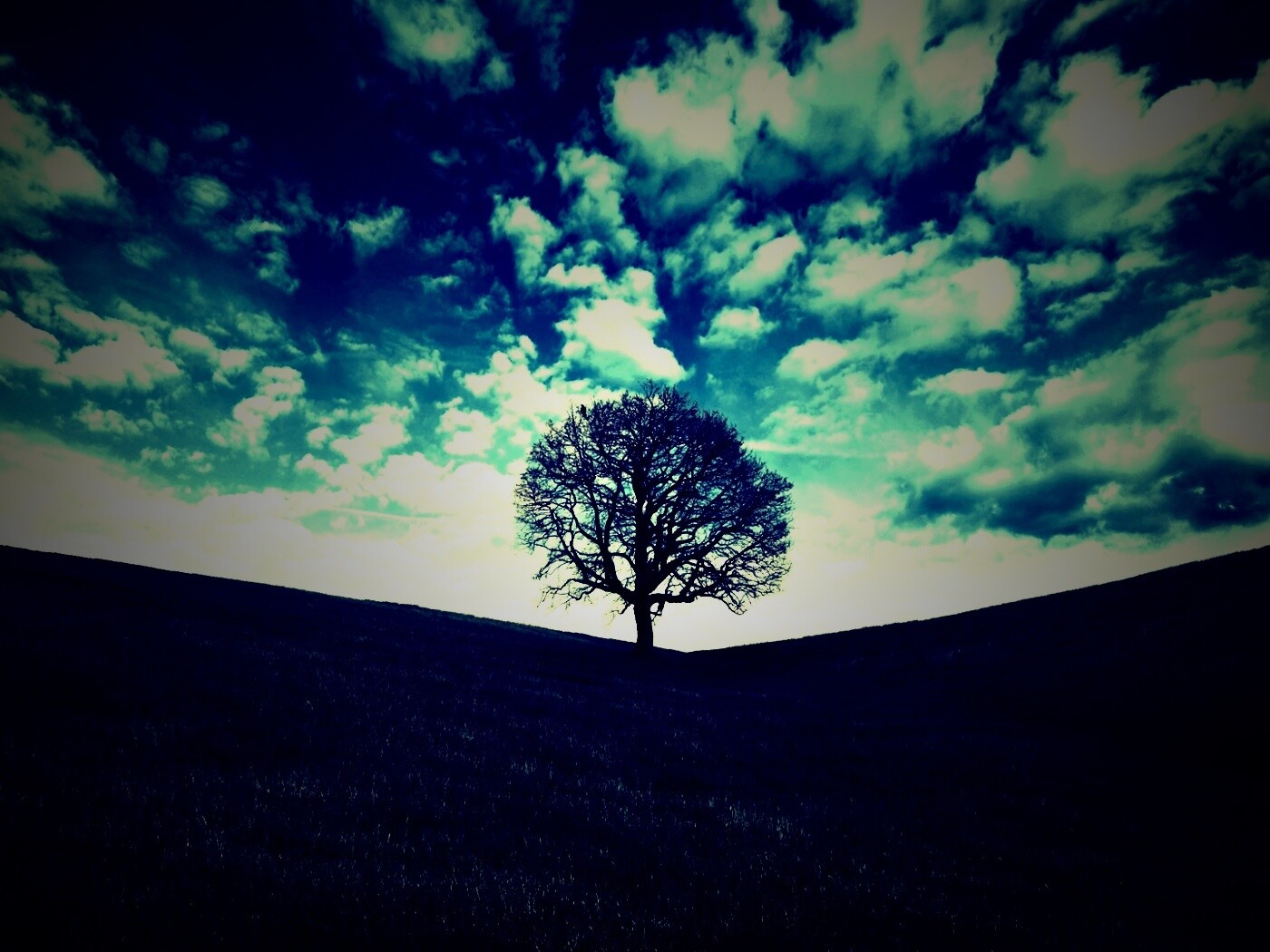 Холм одинокого дуба обои