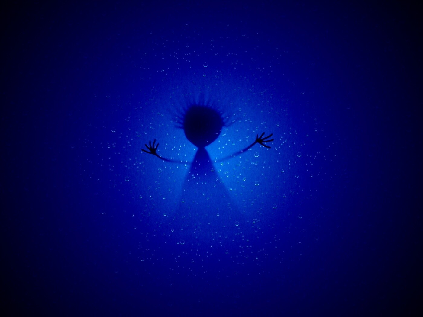 Силуэт обои